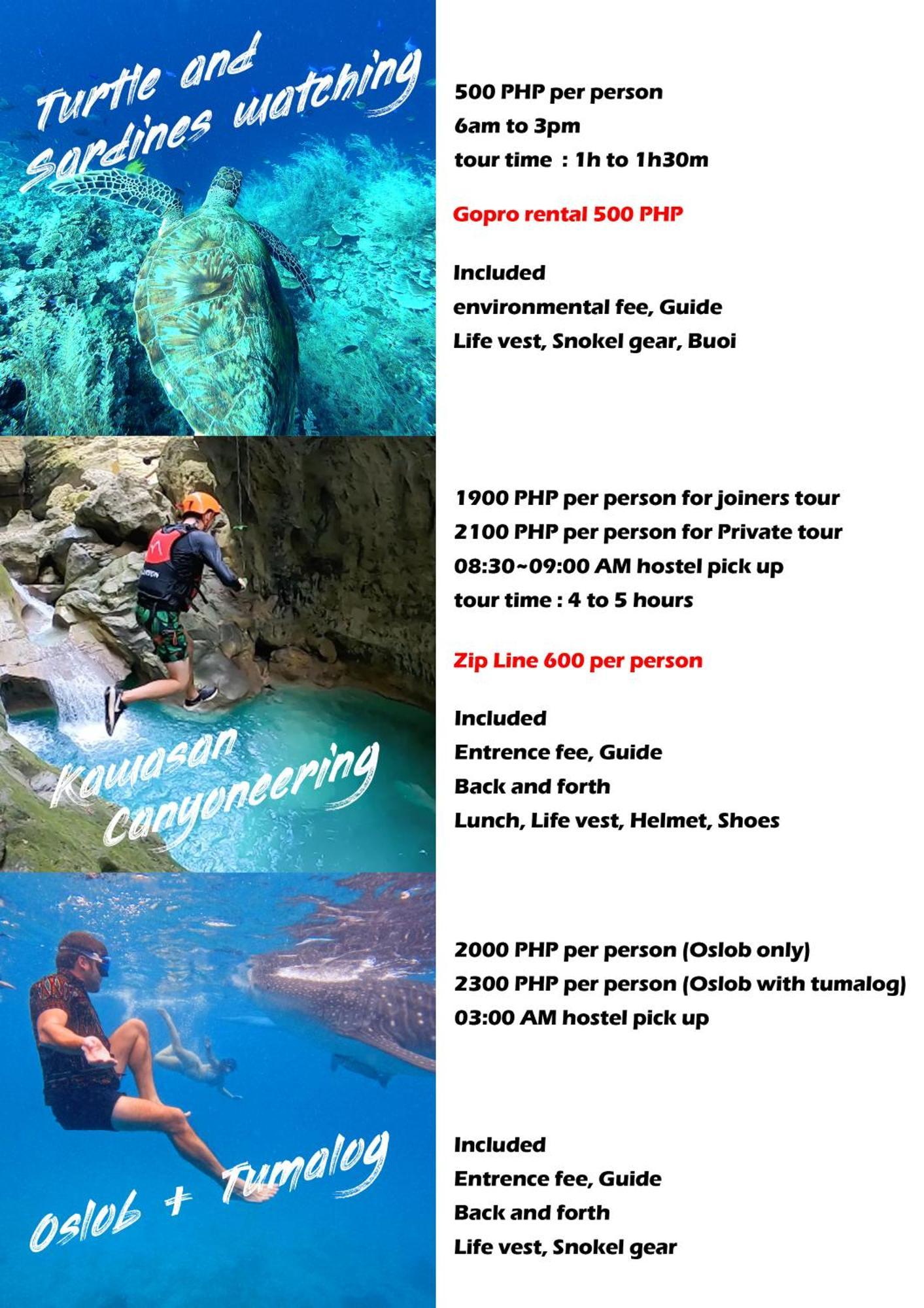 Sunset View Hostel - 써니사이드 모알보알 게스트 하우스 Moalboal Ngoại thất bức ảnh